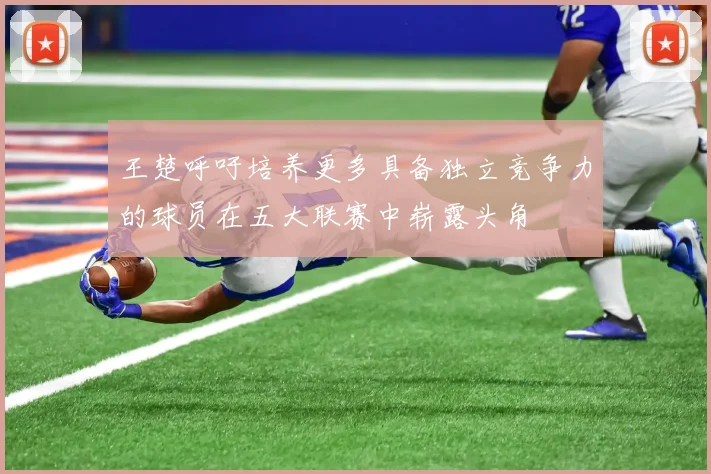 王楚呼吁培养更多具备独立竞争力的球员在五大联赛中崭露头角