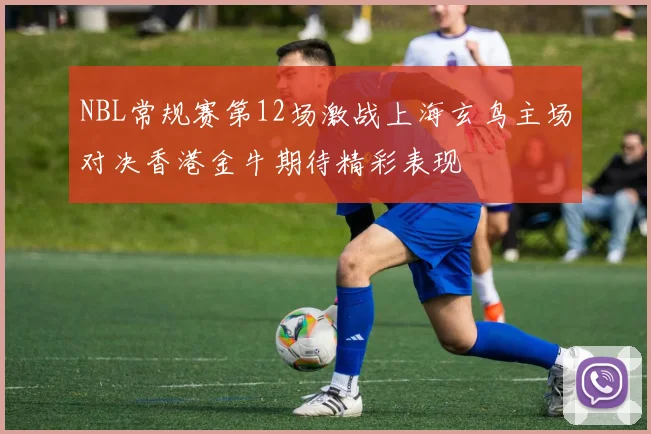 NBL常规赛第12场激战上海玄鸟主场对决香港金牛期待精彩表现