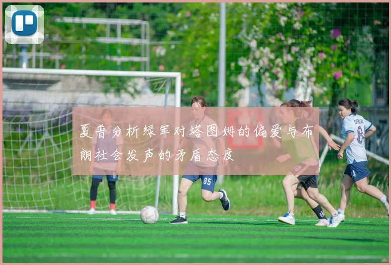 夏普分析绿军对塔图姆的偏爱与布朗社会发声的矛盾态度